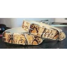 Snakeskin Pattern Pet Collar and Leash